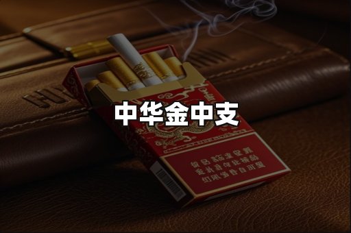 中华金中支